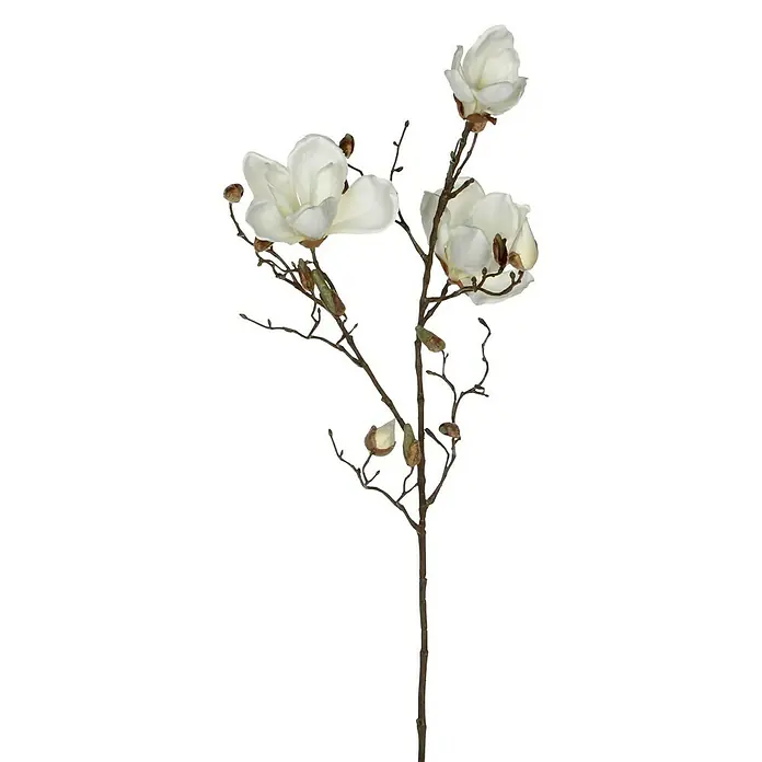 Kunstblume Magnolia - Höhe: 88 cm, Weiß, Kunststoff - Dekorative Magnolienblüte auf einem Ast, perfekt als elegante Wohnaccessoires für Ihr Zuhause.
