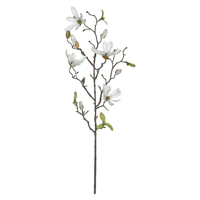Flor artificial Magnolia (Altura: 75 cm, Blanca, Plástico) | BAUHAUS