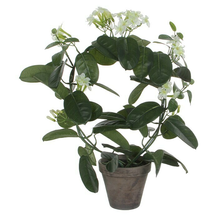 Planta artificial Stephanotis (50 cm, Blanca, Plástico)