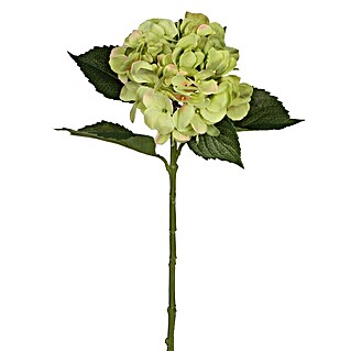 Flor artificial Hortensia (Altura: 51 cm, Verde, Plástico)