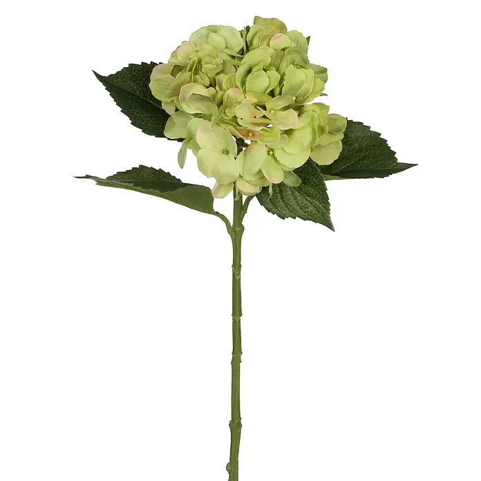Kunstblume Hortensie - Höhe: 51 cm, Grün, Kunststoff - Nahaufnahme einer künstlichen, hellgrünen Hortensienblüte mit detaillierten Blättern und Stiel.