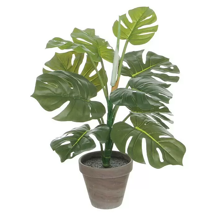 Kunstpflanze Philodendron - Höhe: 48 cm, Grün, Kunststoff