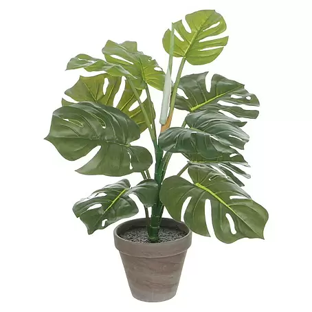 Kunstpflanze Philodendron