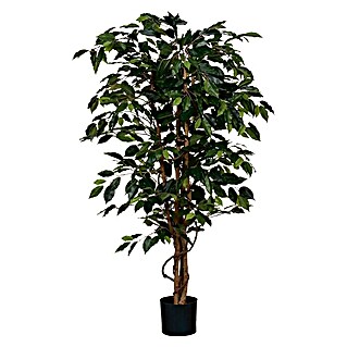 Kunstpflanze Ficus Benjamini (Höhe: 150 cm, Kunststoff, Grün)