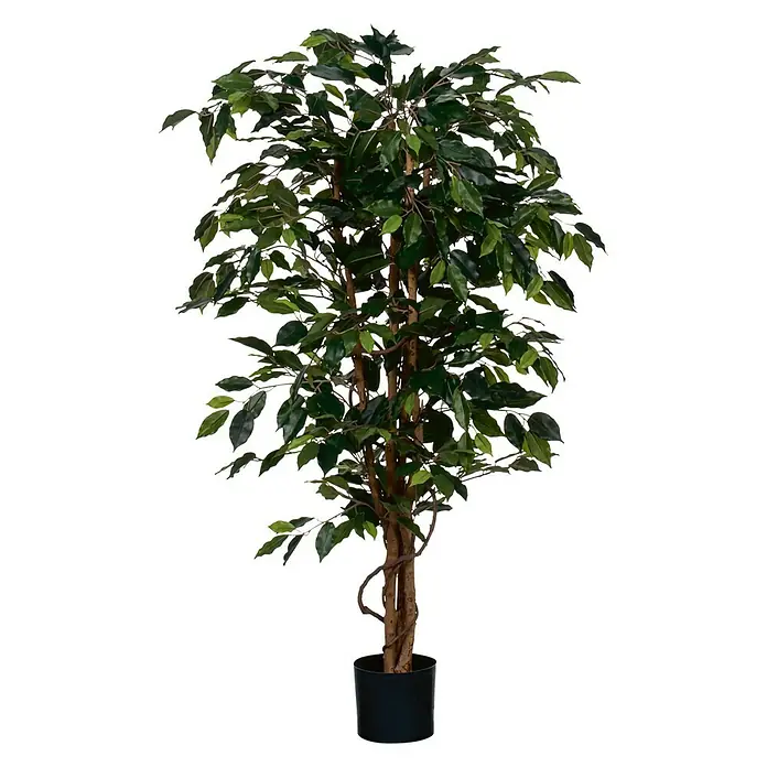 Kunstpflanze Ficus Benjamini - Höhe: 150 cm, Kunststoff, Grün - Künstlicher Ficus-Baum in einem schwarzen Topf, ideal für die Dekoration von Innenräumen und zur Schaffung einer natürlichen Atmosphäre.