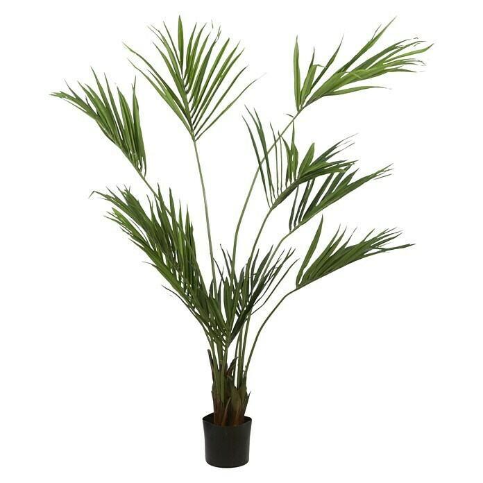 Planta artificial Kentia (180 cm, Verde, Plástico)