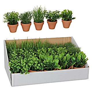 Planta artificial Hierbas aromáticas (18 cm, Verde, Plástico)
