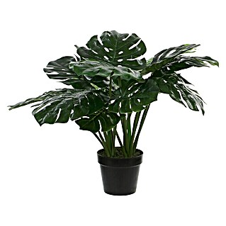 Planta artificial Monstera (Altura: 60 cm, Verde, Plástico)