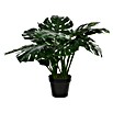 Kunstpflanze Monstera - Hhe: 60 cm, Grn, Kunststoff online kaufen bei  BAUHAUS