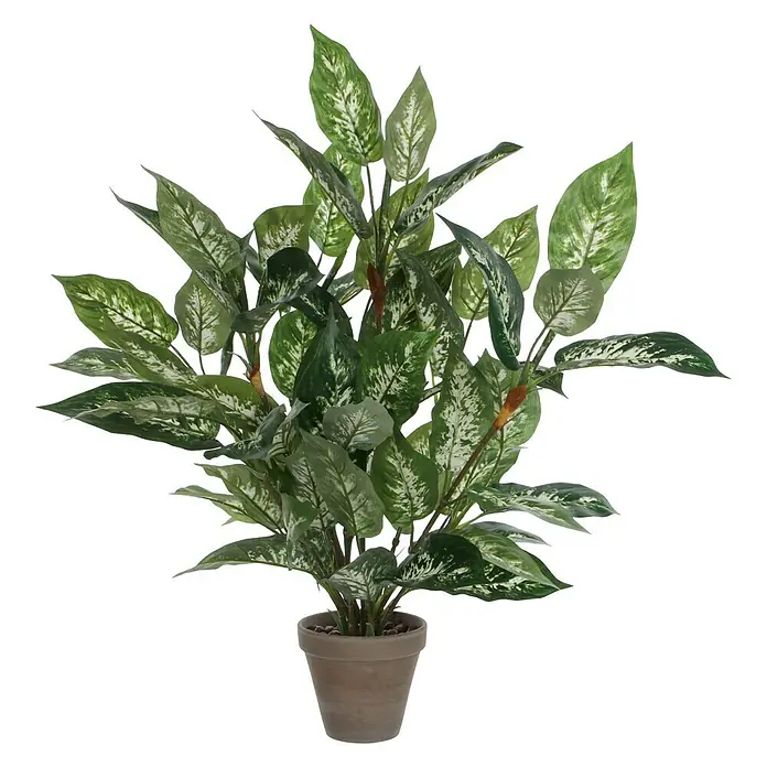 Planta artificial Dieffenbachia - Altura: 70 cm, Plástico - Atractiva planta Dieffenbachia en maceta, perfecta para decorar espacios habitables y oficinas. La planta verde aporta un ambiente fresco y natural.