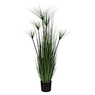 Kunstpflanze Papyrus (Höhe: 127 cm, Grün, Kunststoff)