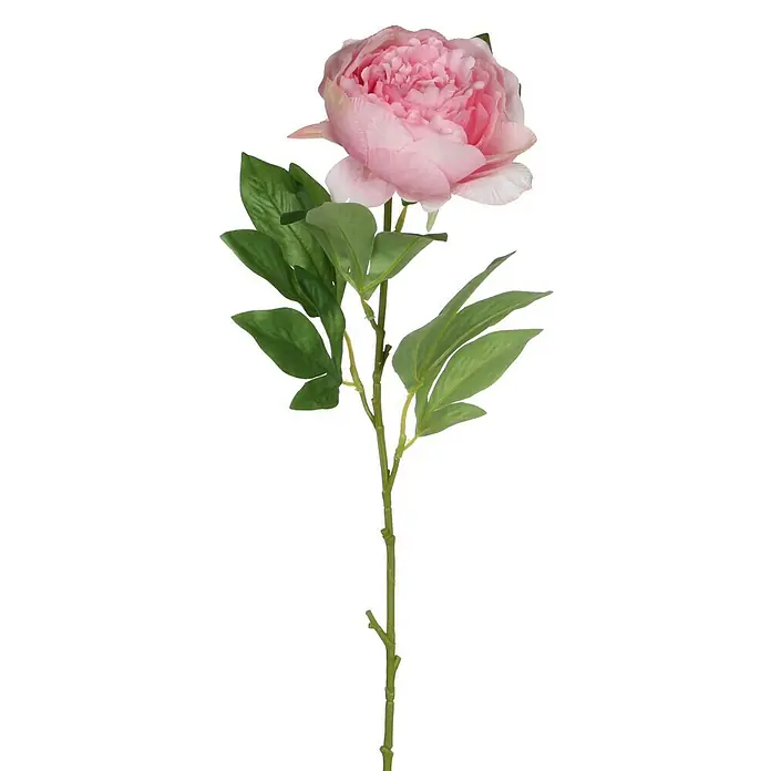 Kunstblume Peony - Höhe: 76 cm, Rosa, Kunststoff - Eine einzelne rosa Pfingstrose, die elegant auf einem langen, grünen Stiel mit üppigen Blättern thront.