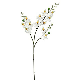 Planta artificial Orquídea (Altura: 75 cm, Blanca, Plástico)