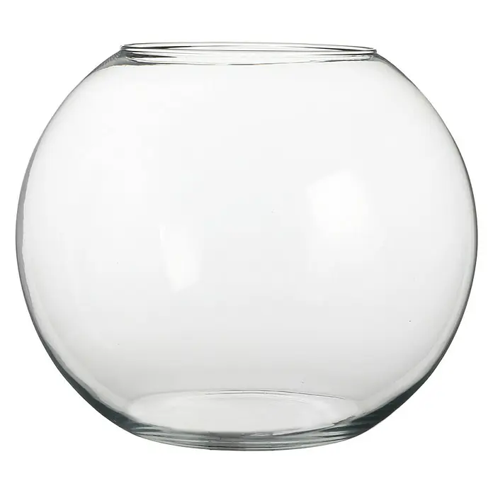 Jarrón Babel - Ø x Al: 25 x 20 cm, Vidrio, Transparente - Primer plano de un jarrón de vidrio esférico vacío, ideal para arreglos florales o como recipiente decorativo.