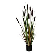 Umjetna biljka Rogoz  (Visina: 120 cm, Smeđe boje, Plastika) | BAUHAUS