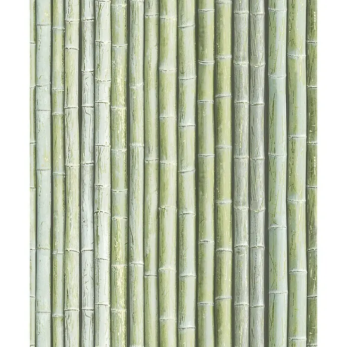 Papel pintado Bambú - Verde, 10 x 0,53 m - Un fondo que muestra una serie de tallos de bambú de color verde claro, creando una apariencia natural y texturizada.