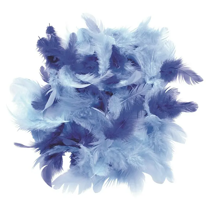 Deko-Federn - Blau, 2 g - Eine stilvolle Ansammlung von blauen Federn, ideal für Bastelarbeiten und Dekorationen. Die Federn bieten eine zarte und elegante Note.