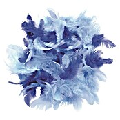 Deko-Federn (Blau-Mix, 2 g)