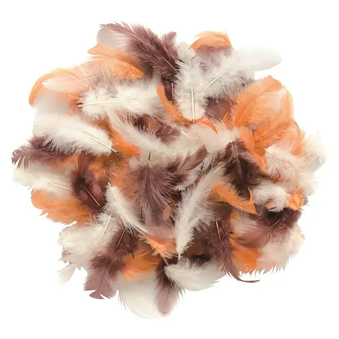 Deko-Federn - Braun, 2 g - Eine Anhäufung von Federn in verschiedenen Herbstfarben, darunter Weiß, Orange und Braun, für Bastelprojekte oder dekorative Zwecke.