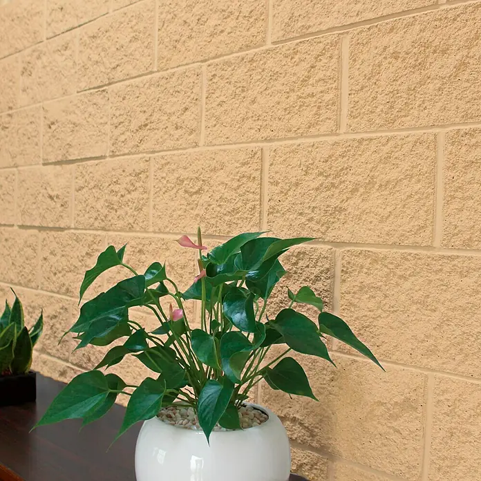 Revestimiento de piedra plaqueta Split - 40 x 20 cm, Crema - Anturio en maceta blanca frente a una pared, mostrando hojas verdes brillantes y espigas florales rosas delicadas.