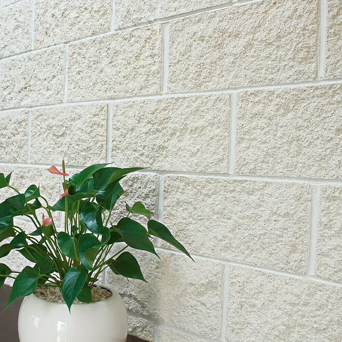 Revestimiento de piedra plaqueta Split - 40 x 20 cm, Blanco - Primer plano de una pared con ladrillos de arena y cal de color claro y una planta de interior en una maceta blanca.