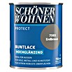 Schöner Wohnen Protect Buntlack (Erdbraun, 750 ml)