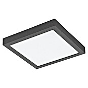 Eglo LED-Außenwandleuchte (L x B x H: 30 x 30 x 4 cm, 22 W, Anthrazit)