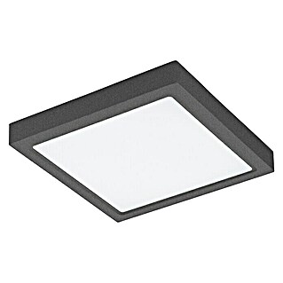 Eglo LED-Außenwandleuchte Argolis (22 W, 30 x 30 x 4 cm, Anthrazit, IP44)
