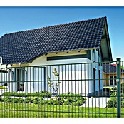 Peddy Shield Zaun-Set DSM (2 x 1,03 m, Grün, 2 -tlg., Eckanbau) | BAUHAUS