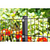 Peddy Shield Zaun-Set (200 x 100 cm, Anthrazit, Mit Standardpfosten zum Aufschrauben) | BAUHAUS