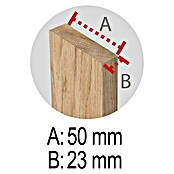 Holzklappbock Professionell (Tragkraft: 600 kg bei 2 Holzböcken, Höhe: 75,5 cm, Kiefer)