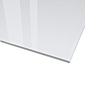 Dekorativna ploča od polikarbonata (100 cm x 100 cm x 2,5 mm, Ravno, Prozirno, Polistirol)