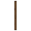 Indo Holzpaneele (Shorea, 1.200 x 120 x 10 mm, 6 Paneele)