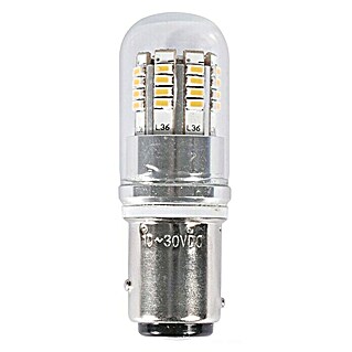 Bombilla LED (2,5 W, Color de luz: Blanco neutro, 240 lm)