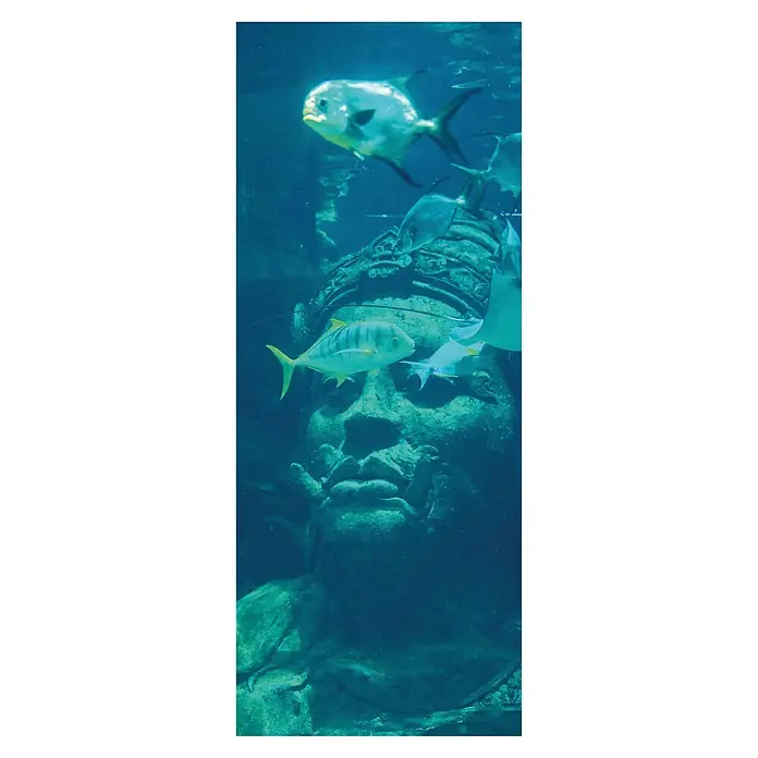 SanDesign Acryl-Verbundplatte - 100 x 250 cm, Underwater World - Unterwasseraufnahme mit Fischen, die um eine Steinskulptur schwimmen, die ein faszinierendes Unterwasserbild erzeugt.