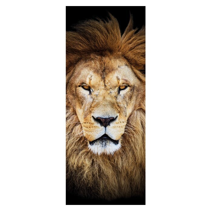 SanDesign panneau composite aluminium Wild Lion
