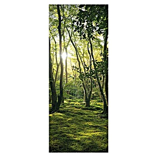 SanDesign Acryl-Verbundplatte (100 x 250 cm, Sunny Forest)