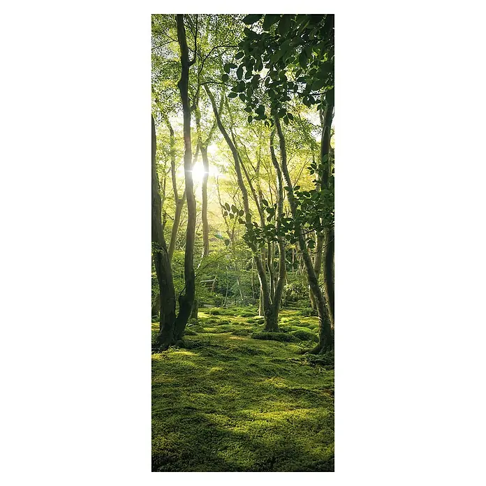 SanDesign Acryl-Verbundplatte - 100 x 250 cm, Sunny Forest - Eine üppige Waldszene mit strahlendem Sonnenlicht, das durch die Baumkronen scheint und einen dichten grünen Moosteppich beleuchtet.