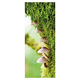 SanDesign Acryl-Verbundplatte (100 x 250 cm, Vegetation)