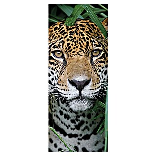 SanDesign Alu-Verbundplatte (100 x 250 cm, Eye of the Tiger)