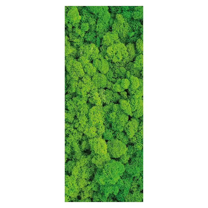 SanDesign Acryl-Verbundplatte - 100 x 250 cm, Flower Moos - Nahaufnahme eines grünen Moosteppichs. Die Textur ist dicht und natürlich, ideal für dekorative Zwecke und zur Wandgestaltung.