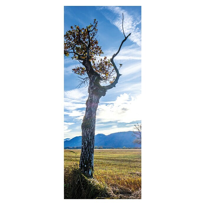 SanDesign Panneau composite acrylique Loneley Tree