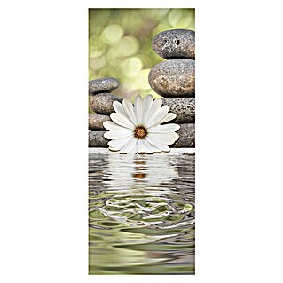 SanDesign Alu-Verbundplatte (100 x 250 cm, Swimming Daisy)