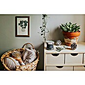 Astigarraga Caja con cajones Minibloc (L x An x Al: 20 x 28 x 28 cm, 6 cajones)
