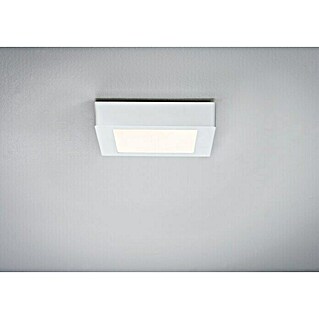 Paulmann LED-Deckenleuchte Lunar (11 W, L x B x H: 17 x 17 x 3,8 cm, Weiß, Warmweiß)