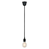 Paulmann Neordic Lámpara colgante (20 W, Negro, Altura: 200 cm)