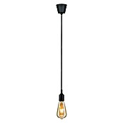 Paulmann Neordic Lámpara colgante (20 W, Negro, Altura: 200 cm)