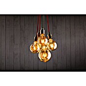 Paulmann Neordic Viseća svjetiljka (20 W, Siva, Visina: 200 cm)
