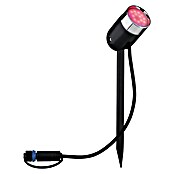 Paulmann Plug & Shine Foco en estaca (1 luz, 4,5 W, Altura: 22,5 cm, IP44)