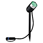 Paulmann Plug & Shine Foco en estaca (1 luz, 4,5 W, Altura: 22,5 cm, IP44)